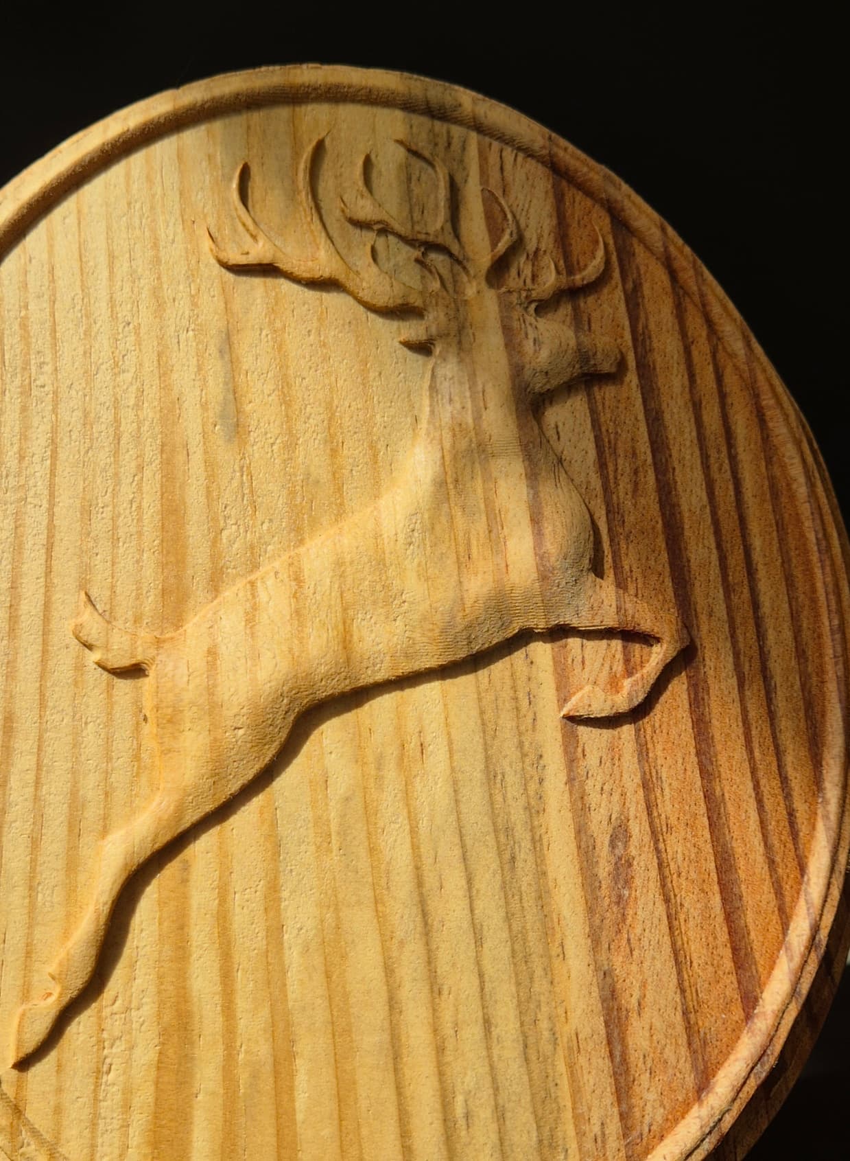 Cerf élancé